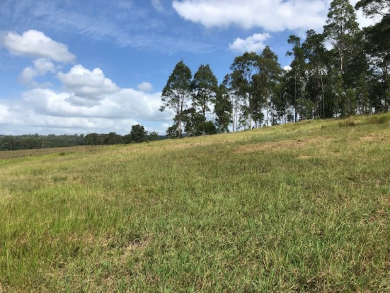 Wingham NSW 2429