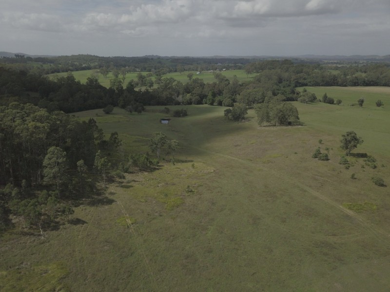 Wingham NSW 2429