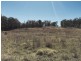 Wingham NSW 2429