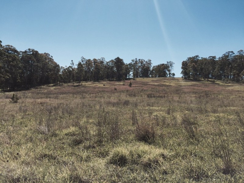 Wingham NSW 2429
