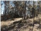 Wingham NSW 2429