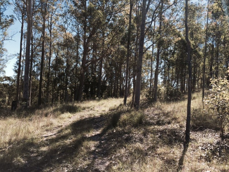 Wingham NSW 2429