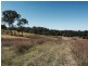 Wingham NSW 2429