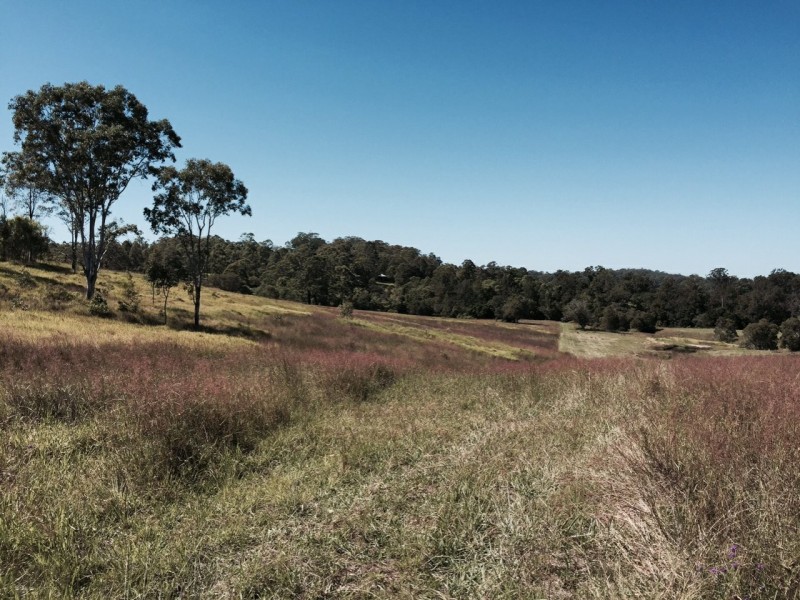 Wingham NSW 2429