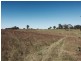 Wingham NSW 2429