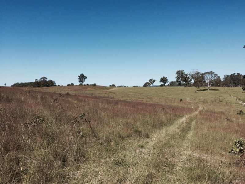 Wingham NSW 2429