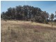 Wingham NSW 2429