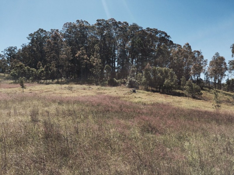Wingham NSW 2429