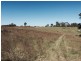 Wingham NSW 2429