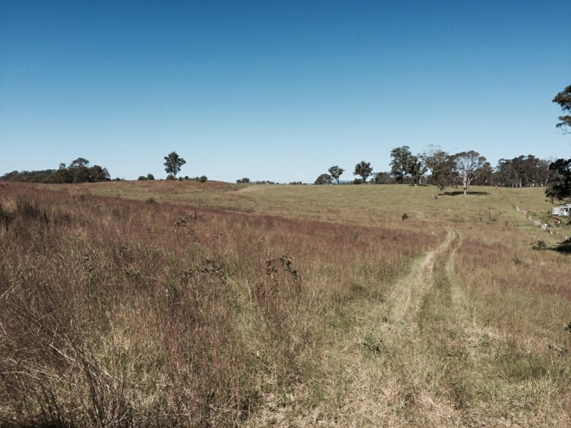 Wingham NSW 2429