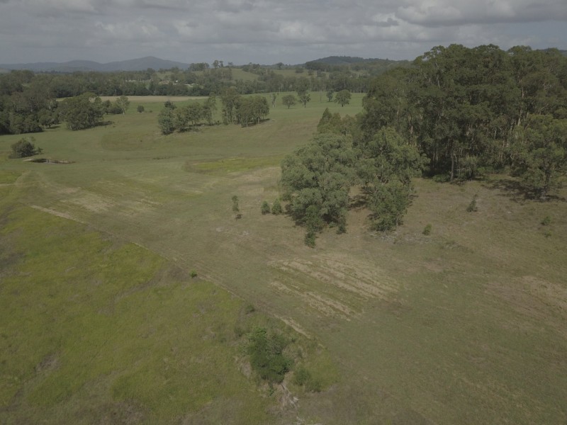 Wingham NSW 2429