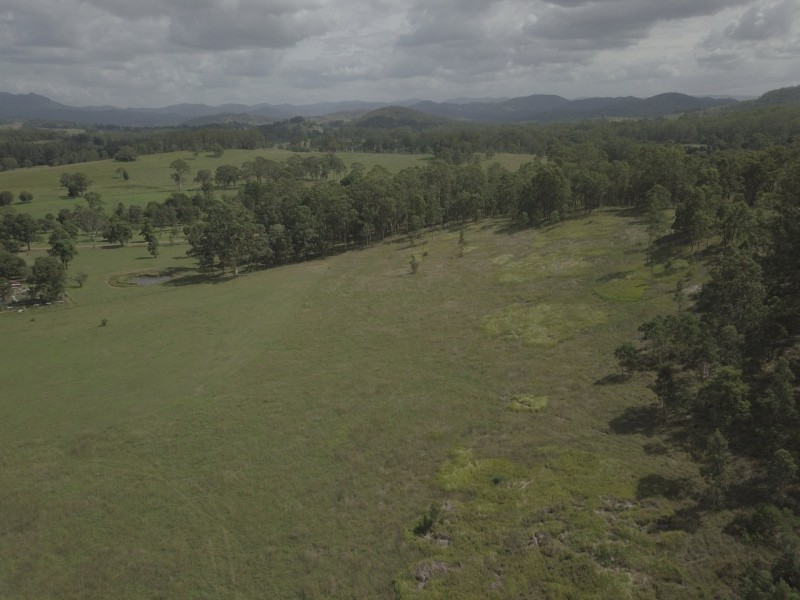 Wingham NSW 2429