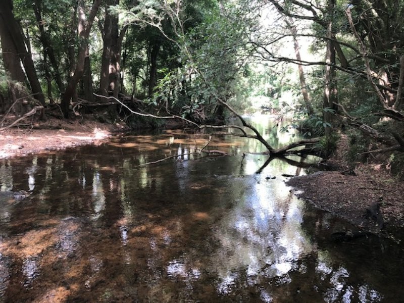 Wingham NSW 2429