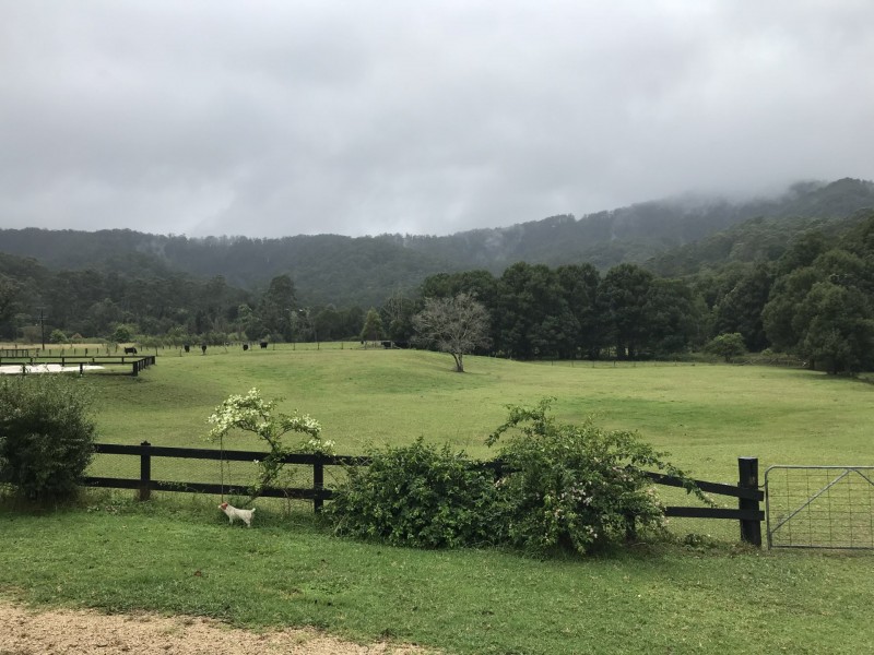 Upper Lansdowne NSW 2430