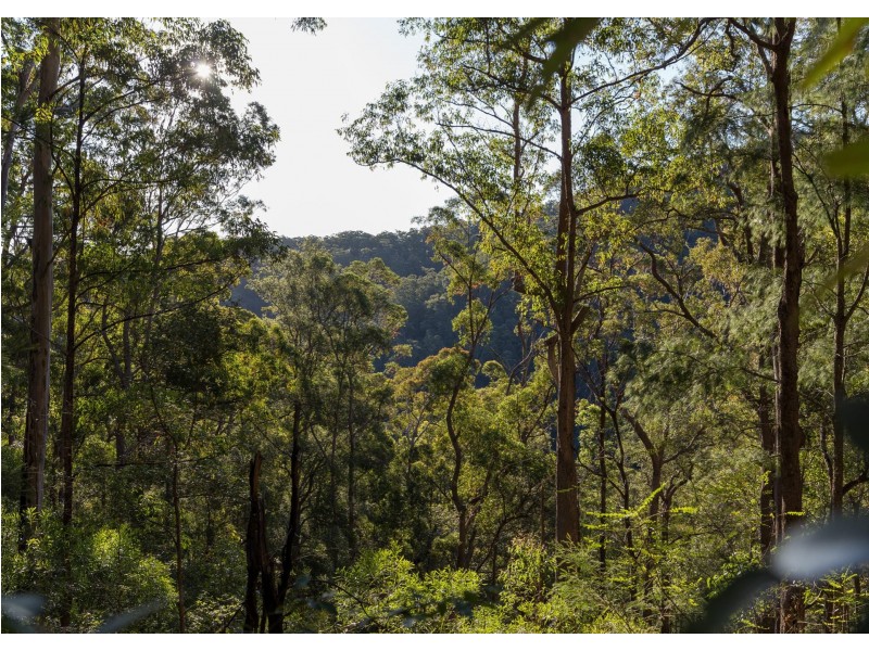 Lot 132 Gunyah Road, BOBIN via, Wingham NSW 2429