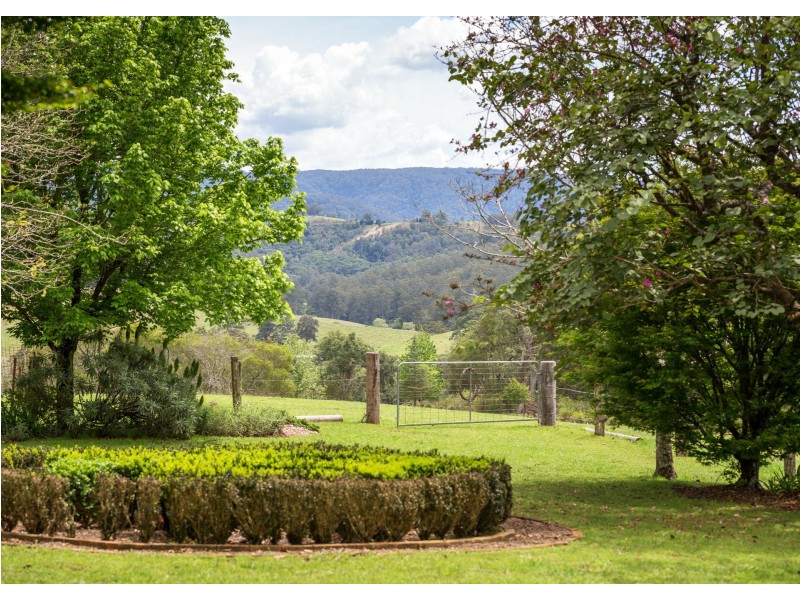 238 Caparra Road, Caparra via, Wingham NSW 2429