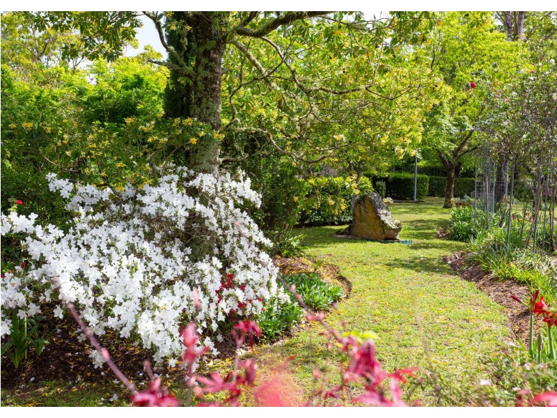 238 Caparra Road, Caparra via, Wingham NSW 2429