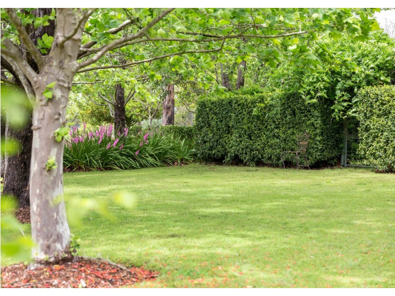 238 Caparra Road, Caparra via, Wingham NSW 2429