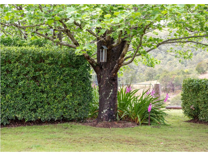 238 Caparra Road, Caparra via, Wingham NSW 2429