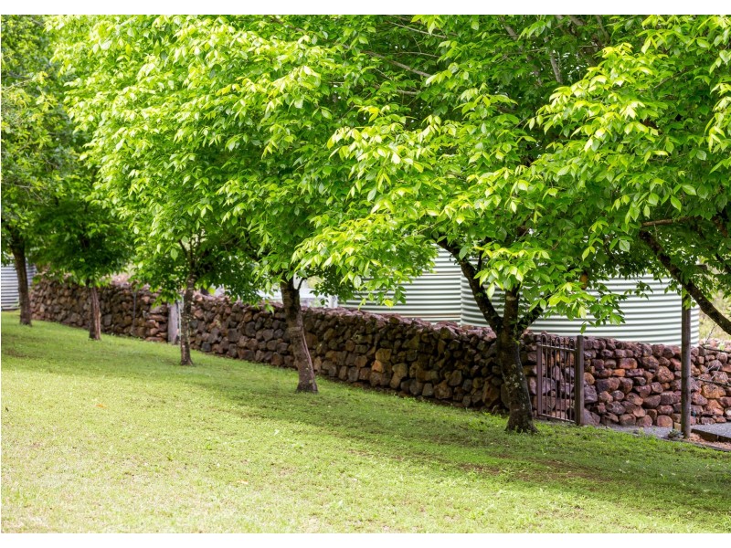 238 Caparra Road, Caparra via, Wingham NSW 2429