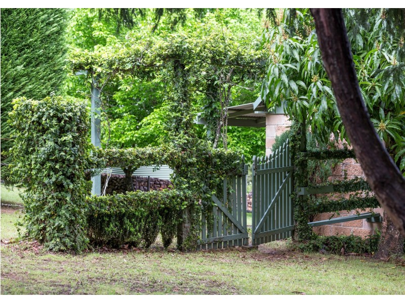 238 Caparra Road, Caparra via, Wingham NSW 2429