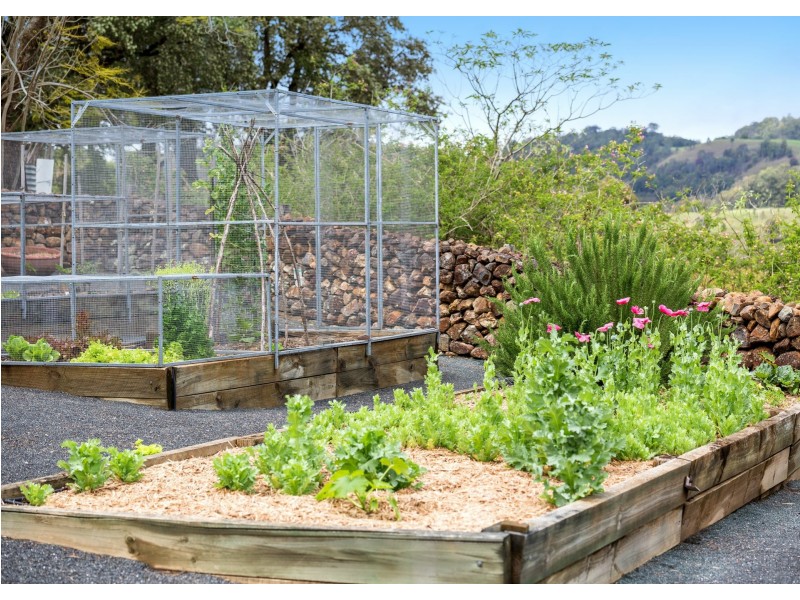 238 Caparra Road, Caparra via, Wingham NSW 2429