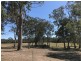 5235 The Bucketts Way, Burrell Creek NSW 2429