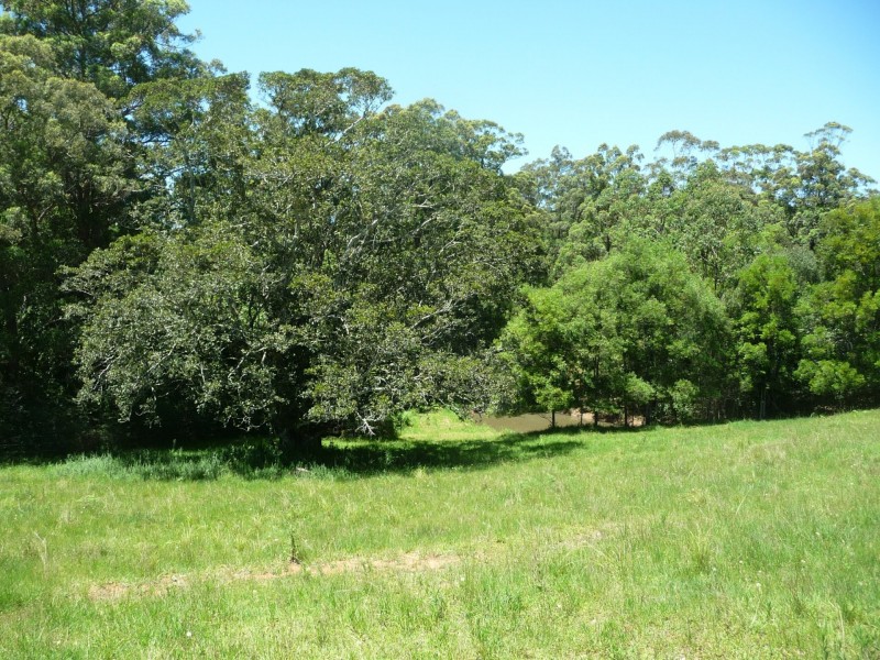 97 Tallowood Lane, Hannam Vale NSW 2443