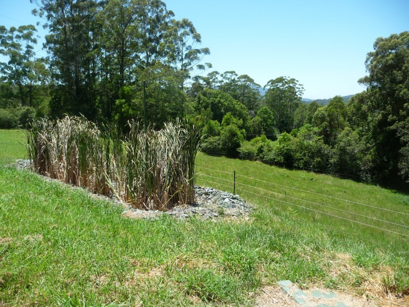 97 Tallowood Lane, Hannam Vale NSW 2443