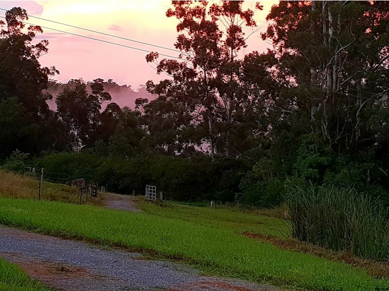 97 Tallowood Lane, Hannam Vale NSW 2443