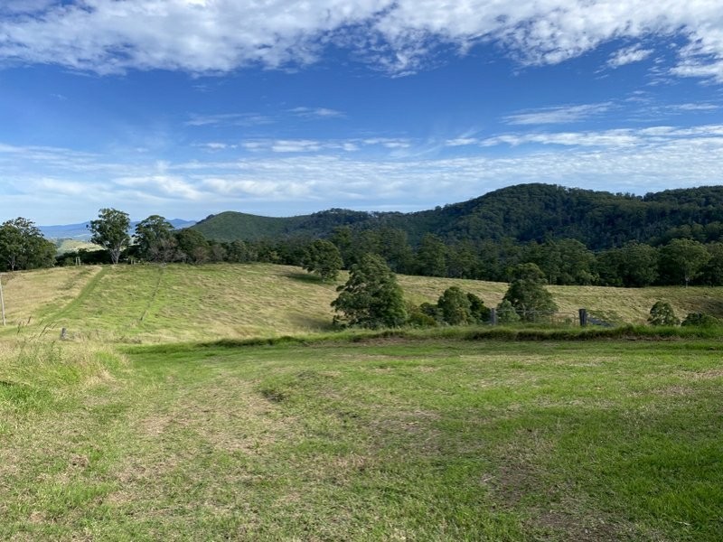 382 Afflecks Road, Tipperary NSW 2429