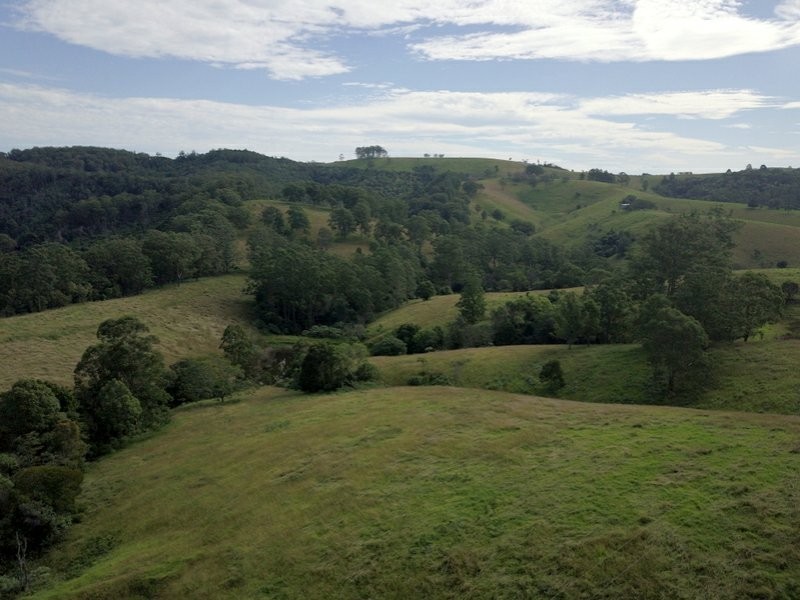 382 Afflecks Road, Tipperary NSW 2429