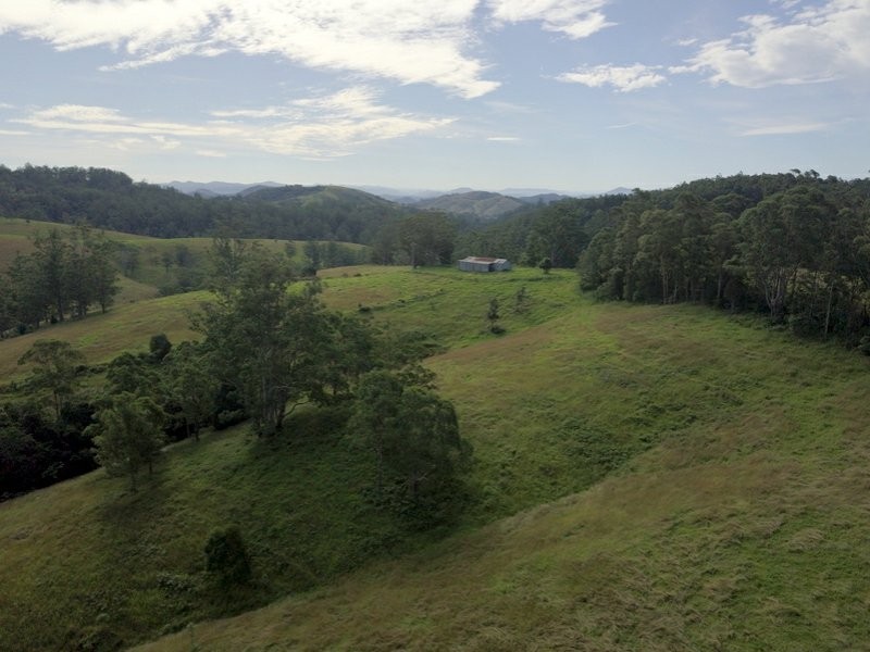 382 Afflecks Road, Tipperary NSW 2429