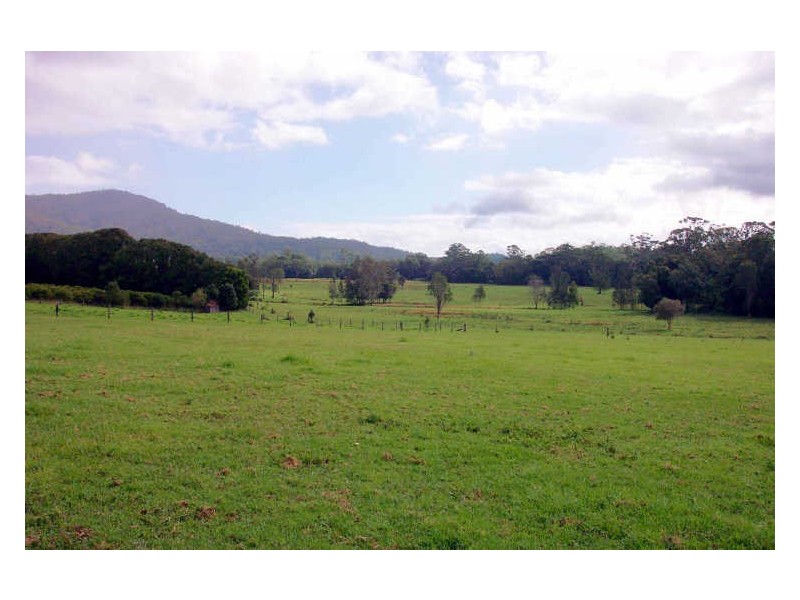 Moorland NSW 2443