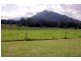 Moorland NSW 2443