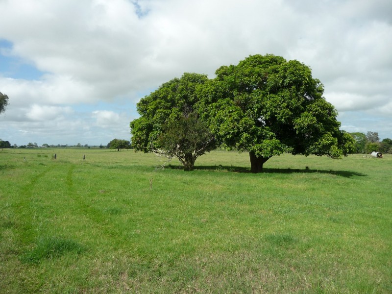 1549 Lawrence Road, Grafton NSW 2460