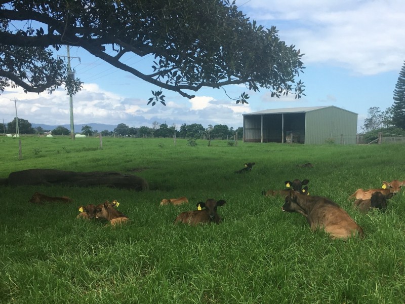 1549 Lawrence Road, Grafton NSW 2460