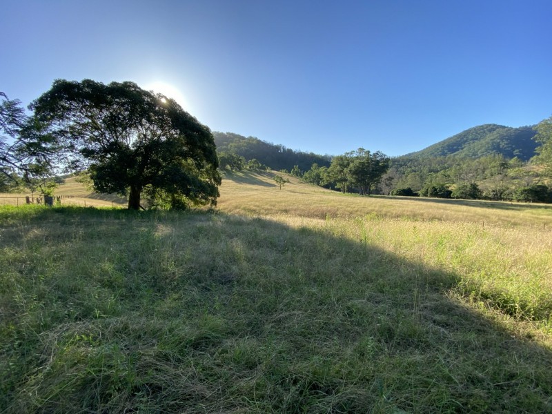 5614 Nowendoc Road, Cooplacurripa via, Wingham NSW 2429