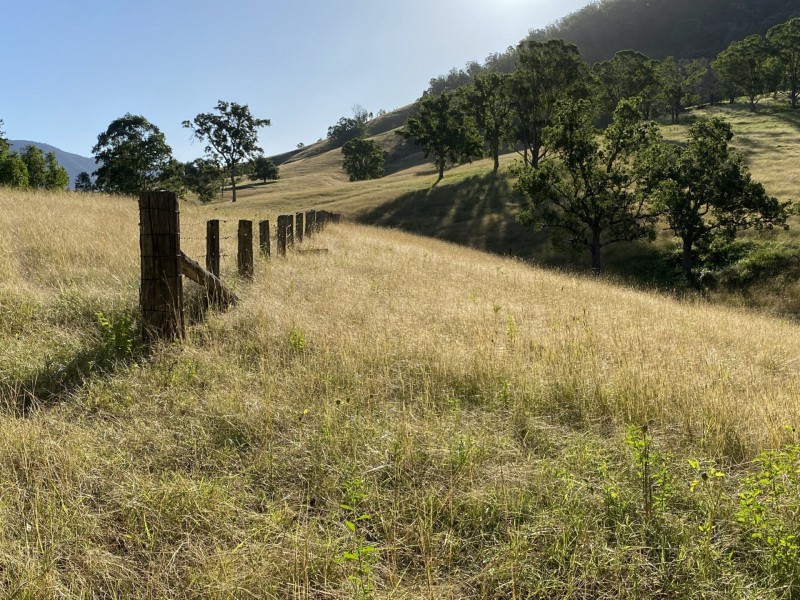 5614 Nowendoc Road, Cooplacurripa via, Wingham NSW 2429