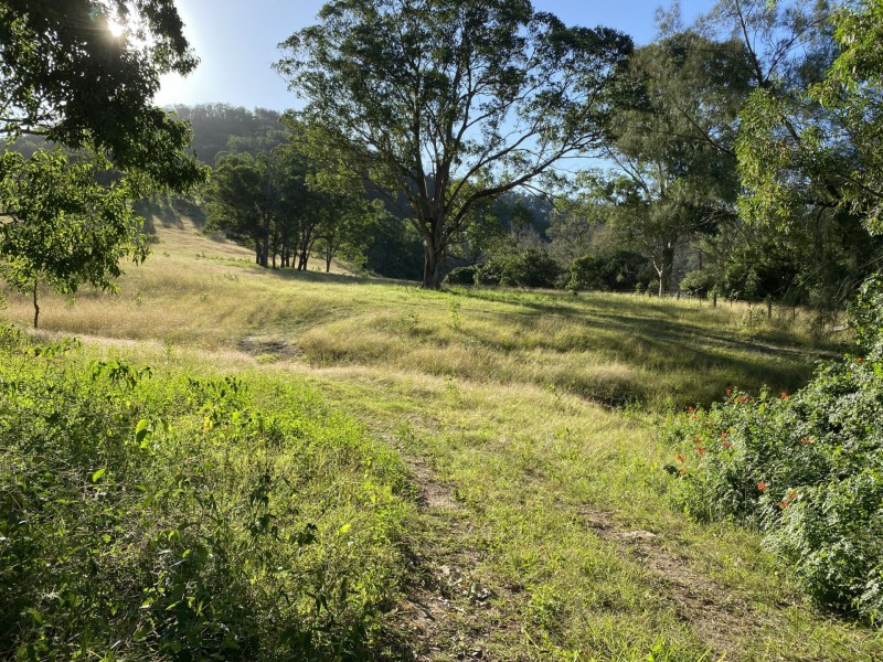 5614 Nowendoc Road, Cooplacurripa via, Wingham NSW 2429