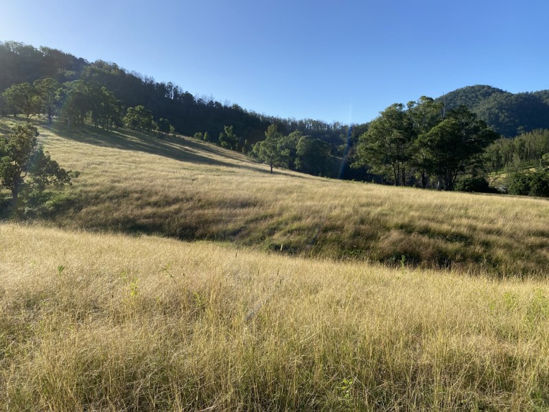 5614 Nowendoc Road, Cooplacurripa via, Wingham NSW 2429