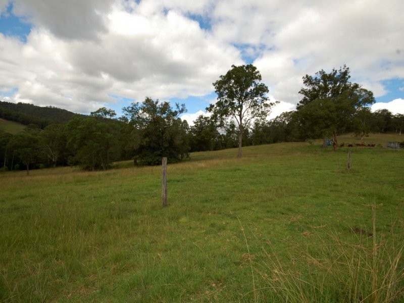 Caparra NSW 2429