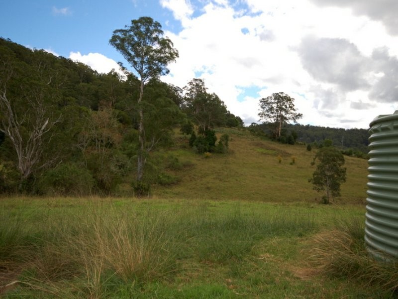 Caparra NSW 2429