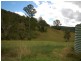 Caparra NSW 2429