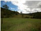 Caparra NSW 2429
