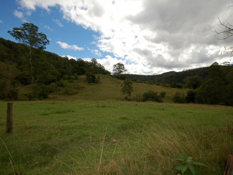 Caparra NSW 2429