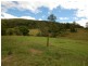 Caparra NSW 2429