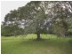 137 Warrens Lane, Lansdowne NSW 2430