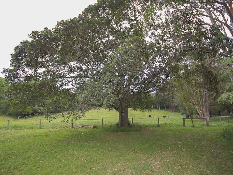 137 Warrens Lane, Lansdowne NSW 2430