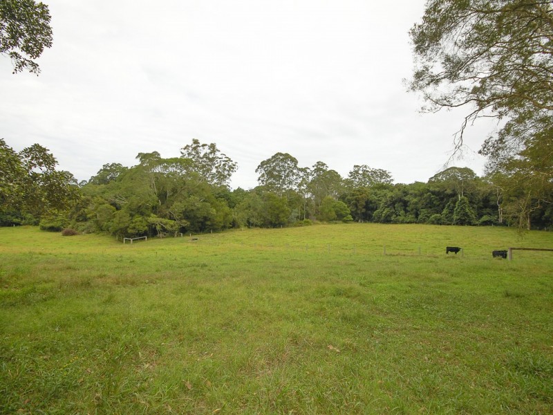 137 Warrens Lane, Lansdowne NSW 2430